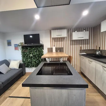 Cocon Moderne Et Chaleureux Apartment